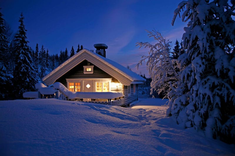 Cabin in a snowy forest